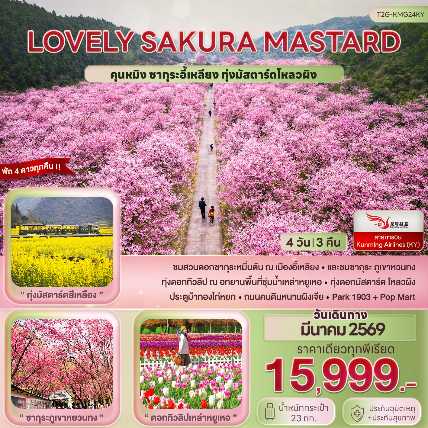 ทัวร์จีน Lovely Sakura Mustard...คุนหมิง ซากุระอี้เหลียง ทุ่งมัสตาร์ด 4วัน 3คืน (KY)